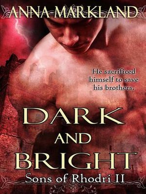 cover image of Dark and Bright